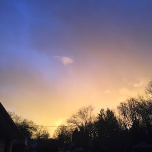 Meet your Posher, Shyanne